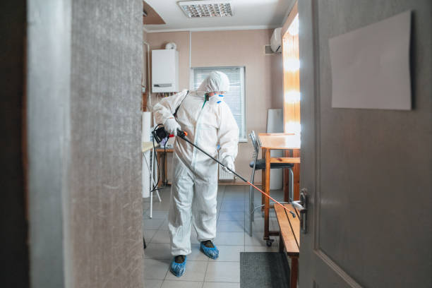 Best Attic Mold Removal  in Oak Hills, CA