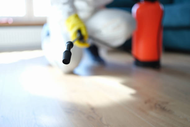 Best Dehumidification Services  in Oak Hills, CA