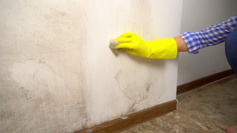 Best Mold-Related Health Consultation  in Oak Hills, CA