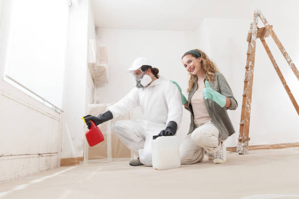 Best Mold Removal for HVAC Installations  in Oak Hills, CA